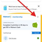 Walmart Plus Membership Section