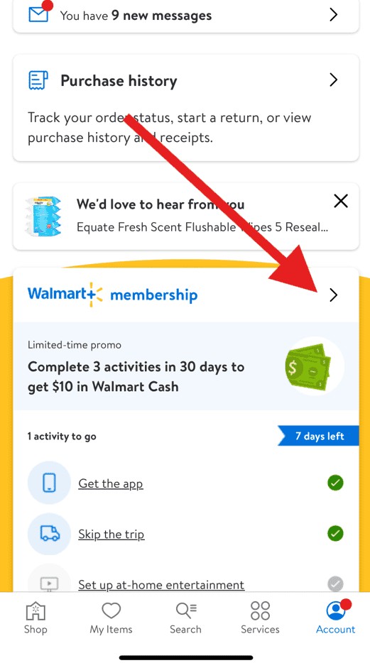 Walmart Plus Membership Section