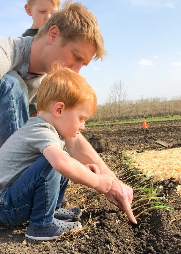 Two children transplanting onion seedlings into garden soil.