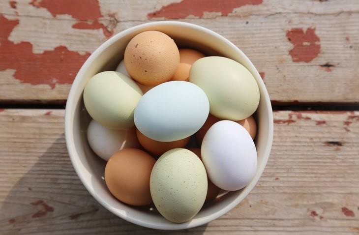 Bowl of fresh eggs with straw and rustic background