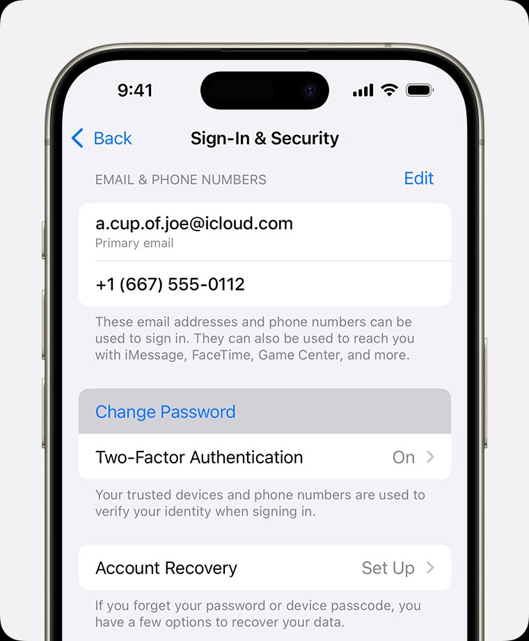 Change Apple ID Password Option in iPhone Settings Sign-In & Security Menu