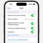 Clear History and Website Data button in Safari settings on iPhone