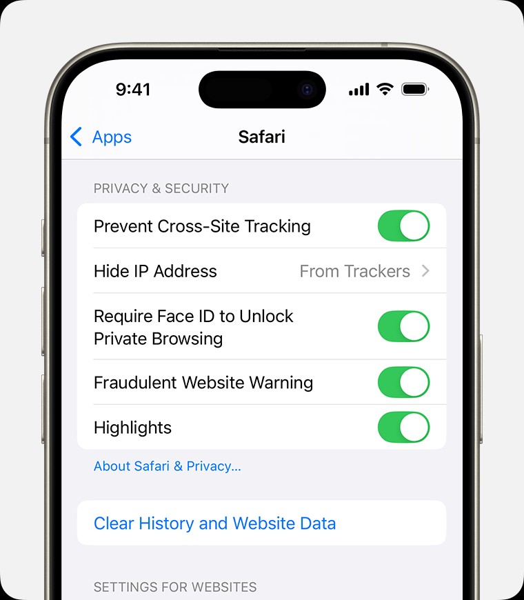 iPhone displaying Safari settings with the "Clear History and Website Data" button highlighted. The button is located at the bottom of the Privacy & Security section.