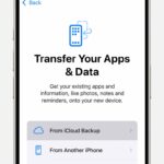 iPhone showing the "From iCloud Backup" option on the "Transfer Your Apps & Data" screen