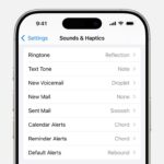 iPhone Settings Sounds & Haptics menu showing options for ringtone, text tone, etc.