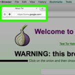 Tor Browser URL Bar Highlighting Google.com