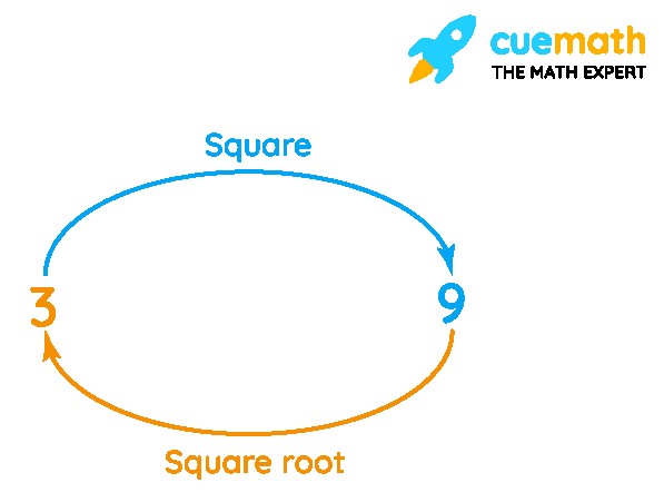 squares and square root of a number