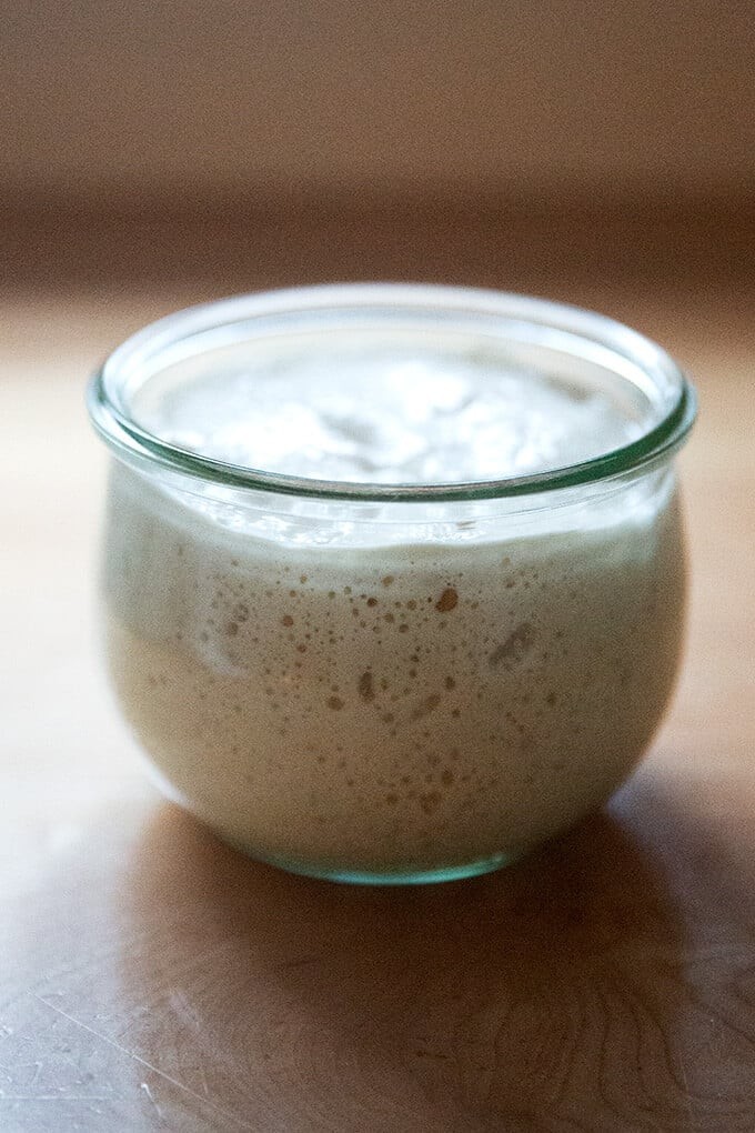 A jar of active sourdough starter showing bubbles and rise.