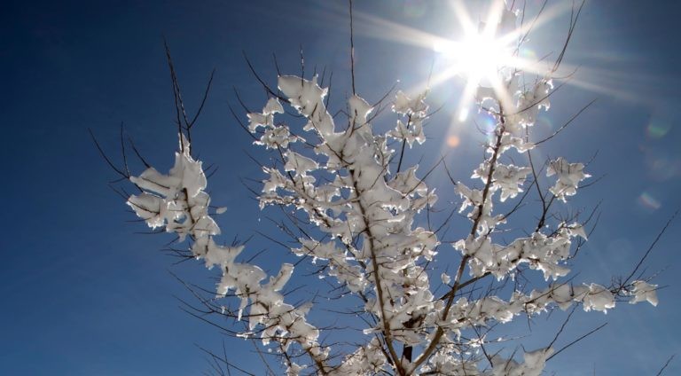 The blend of economic challenges and recreational possibilities that snowfall brings to Denver's daily life