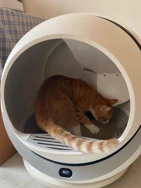 Petree Automatic Self Cleaning Cat Litter Box