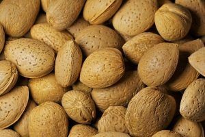 almonds in their shells