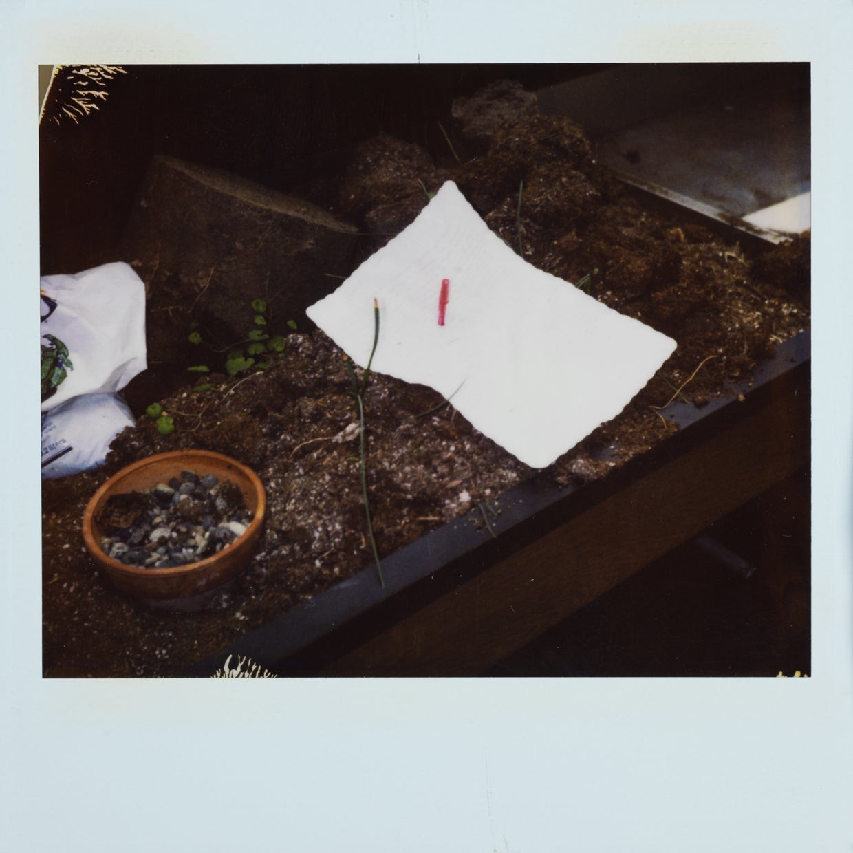 Cobain's suicide note was on top of a planter in the greenhouse with a pen stuck through the center of the note.