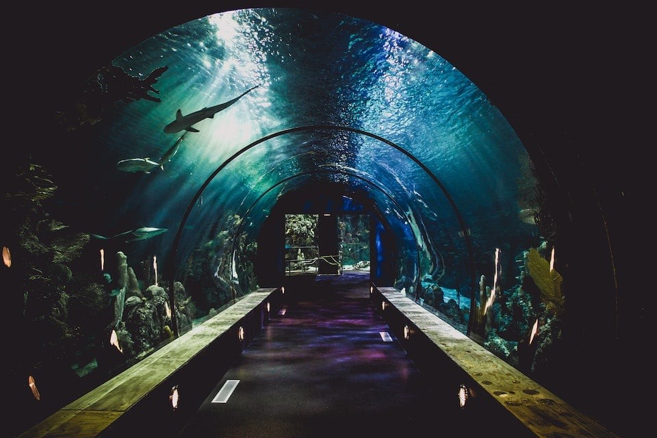 Aquariums