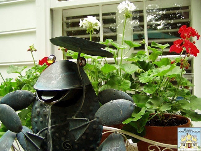 Frog fountain on the deck