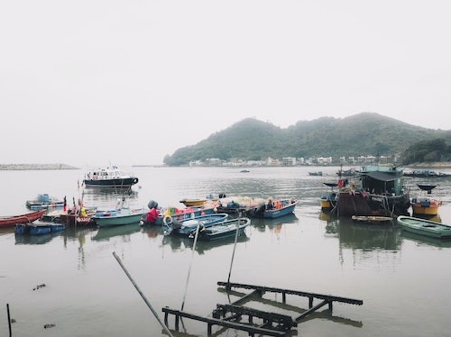 Fisheries Biologists