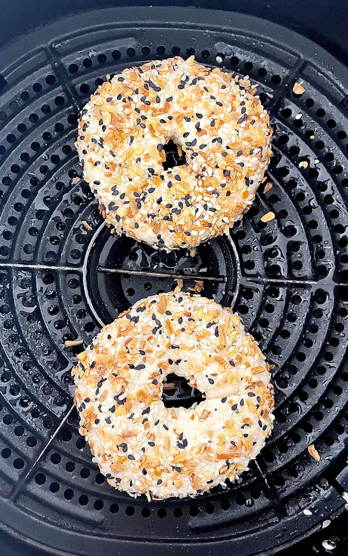 Bagel with Cottage Cheese