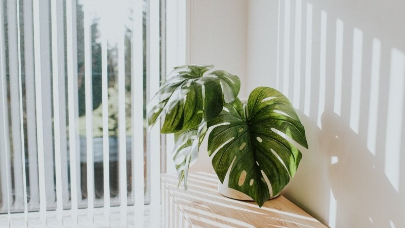 Vertical blinds, a style of blinds
