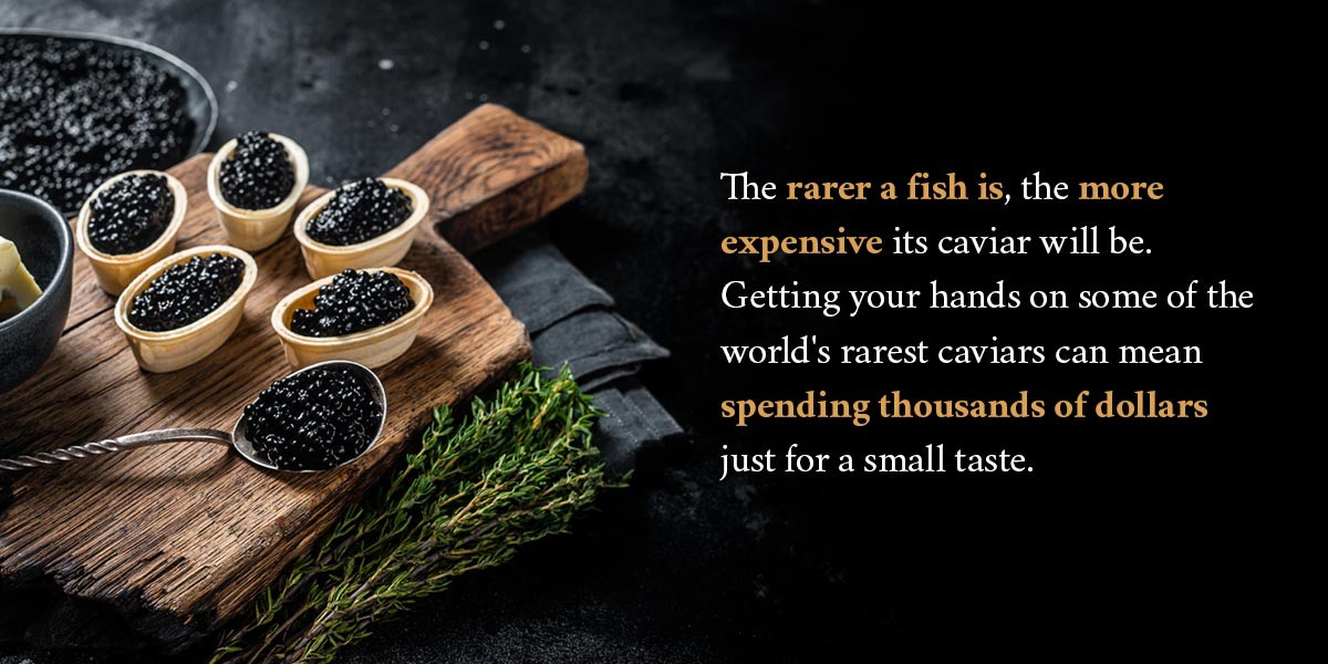 caviar expensive prices