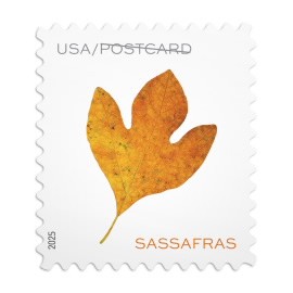 Different Stamp Formats