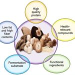 Mushrooms as safe sources of quality proteins and functional ingredients