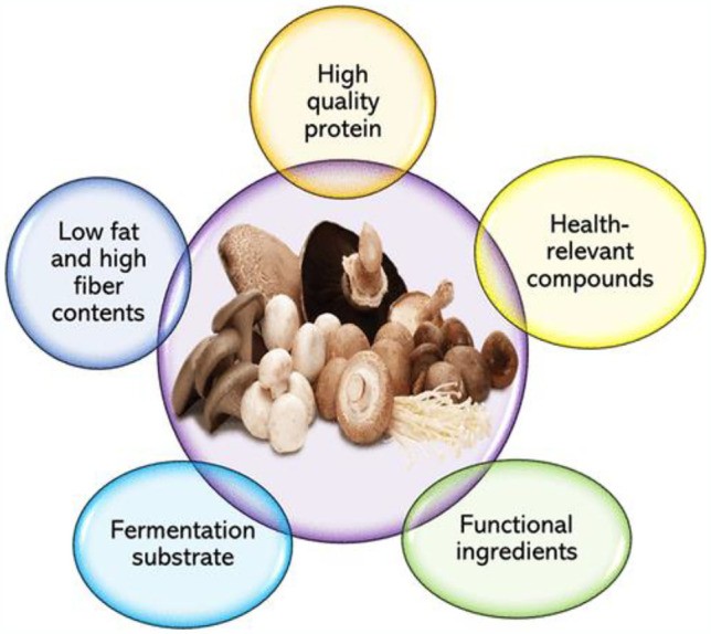 Mushrooms as safe sources of quality proteins and functional ingredients