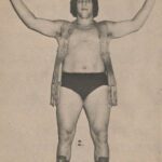 Andre the Giant's towering presence and immense size