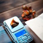 close-up photo of a portable digital scale holding a piece of dried mushroom, with other pieces in the background out of focus