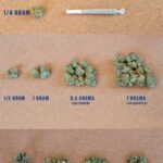 Weed and rolling papers