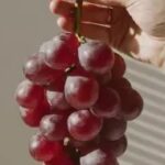 A person holding a bunch of red grapes indicating the natural sweetness of the fruit