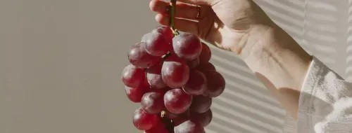 A person holding a bunch of red grapes indicating the natural sweetness of the fruit