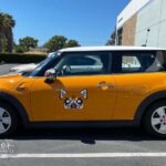 Mini Cooper with partial wrap decal showcasing customized accents