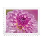 USPS Forever Stamps Value