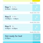 Sample 6 month old sleep schedule