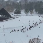 Texans enjoying a rare snow day with sledding in a Houston park near the Miller Outdoor Theatre.