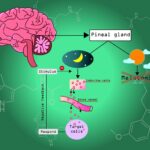 Melatonin for sleep