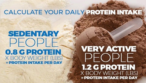 Calculating Daily Protein Intake Based on Activity Level