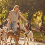 Professional Pet Sitter