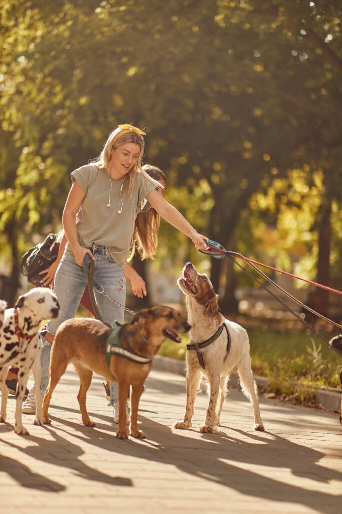 Professional Pet Sitter