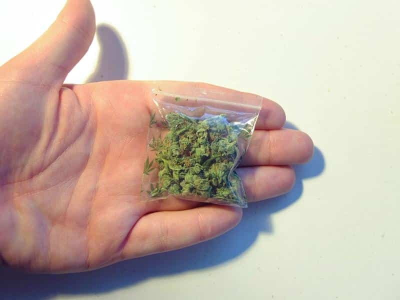 Dub of weed featuring two nugs of cannabis, approximately two grams in weight.