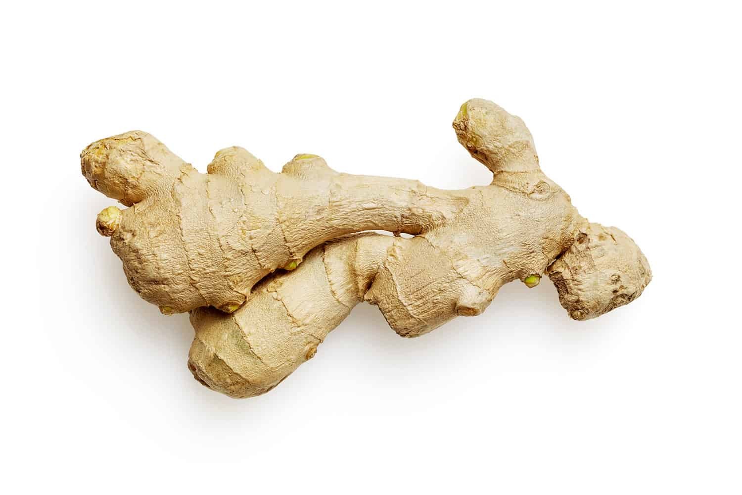 Ginger root for chai latte