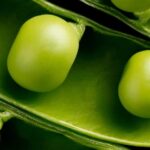 Close up of peas