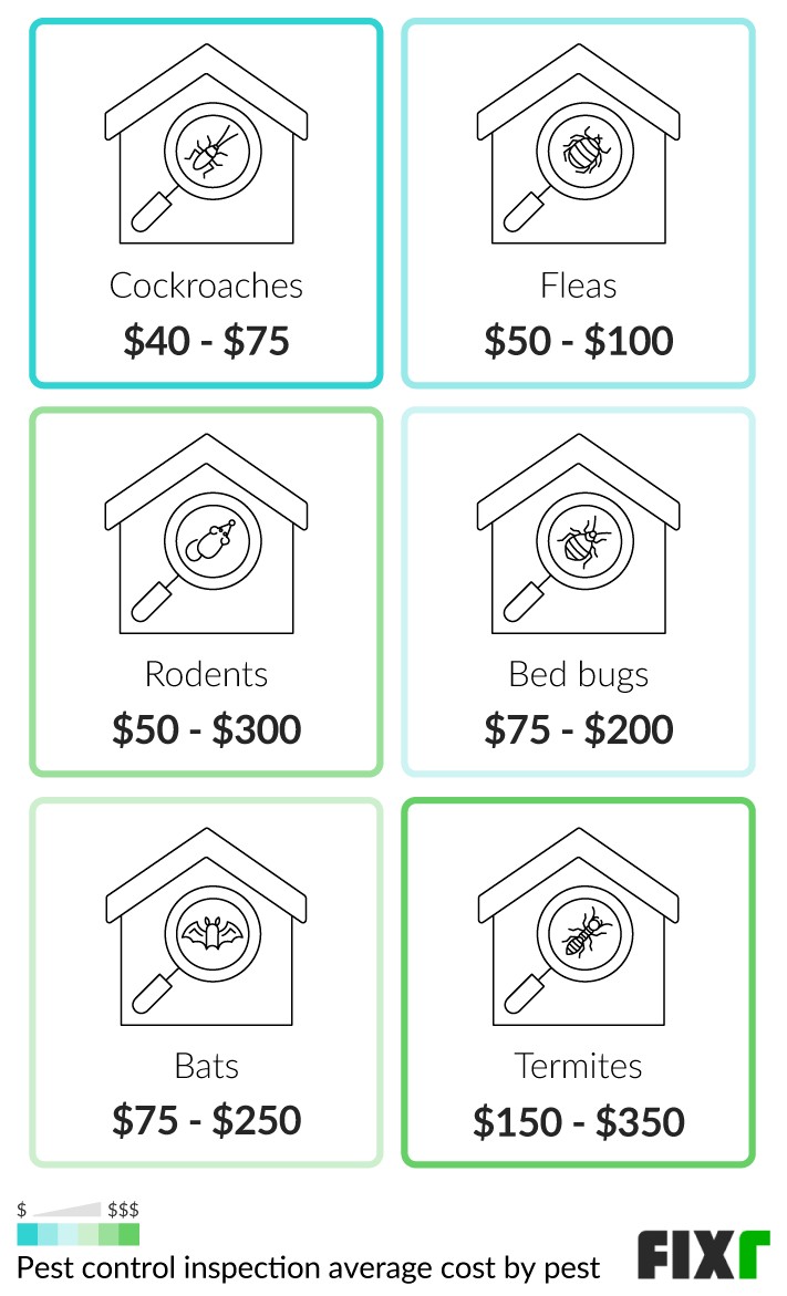 Cost to Inspect a House for Cockroaches, Fleas, Rodents, Bed Bugs, Bats, and Termites (mobile)