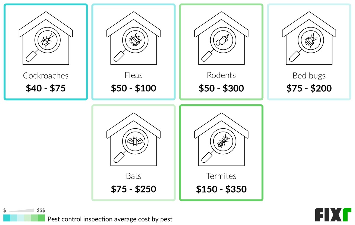 Cost to Inspect a House for Cockroaches, Fleas, Rodents, Bed Bugs, Bats, and Termites (desktop)