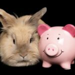 Rabbit next to pink piggy bank