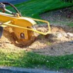 Yellow machine removing tree stump