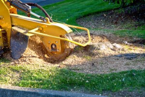 Yellow machine removing tree stump