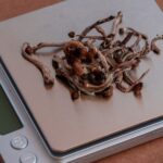 Dried mushrooms on a digital scale with a partial display.