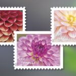Dahlia Forever Stamps