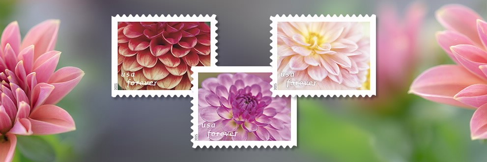 Dahlia Forever Stamps