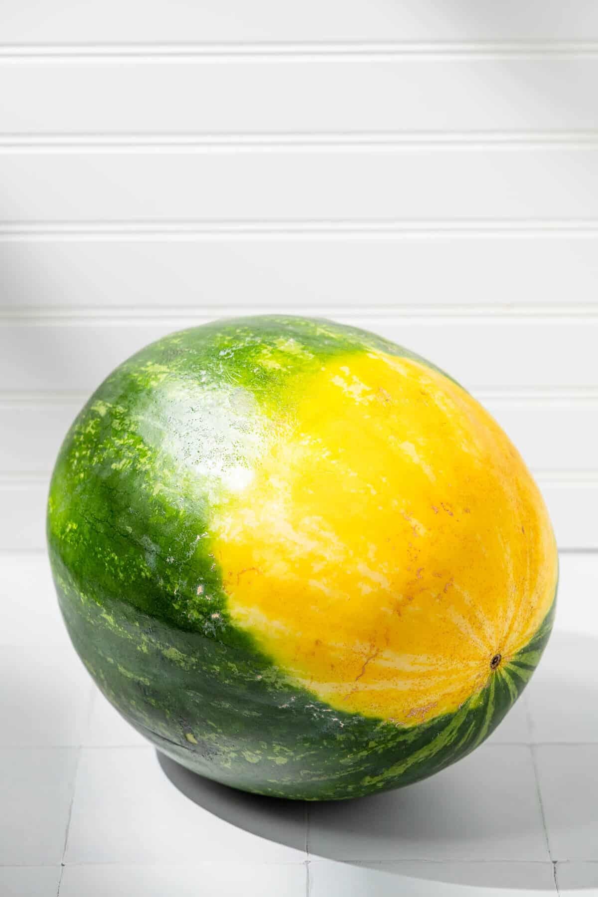 watermelon field spot